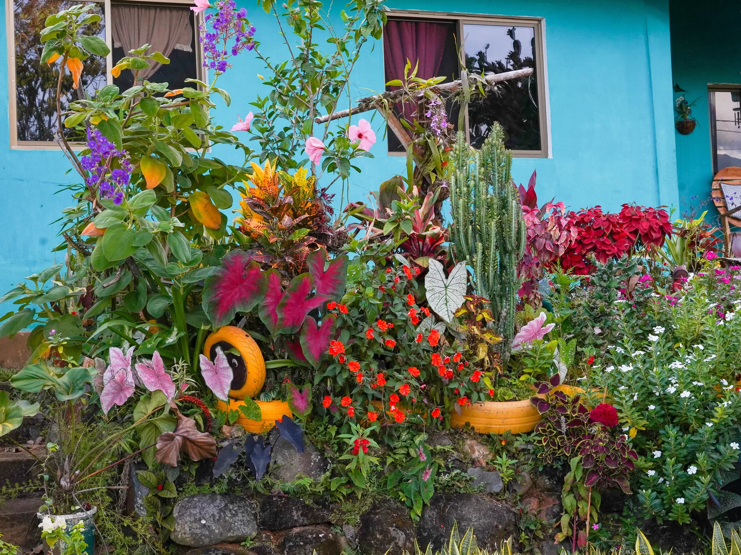 Cuidado Integral del Jardín